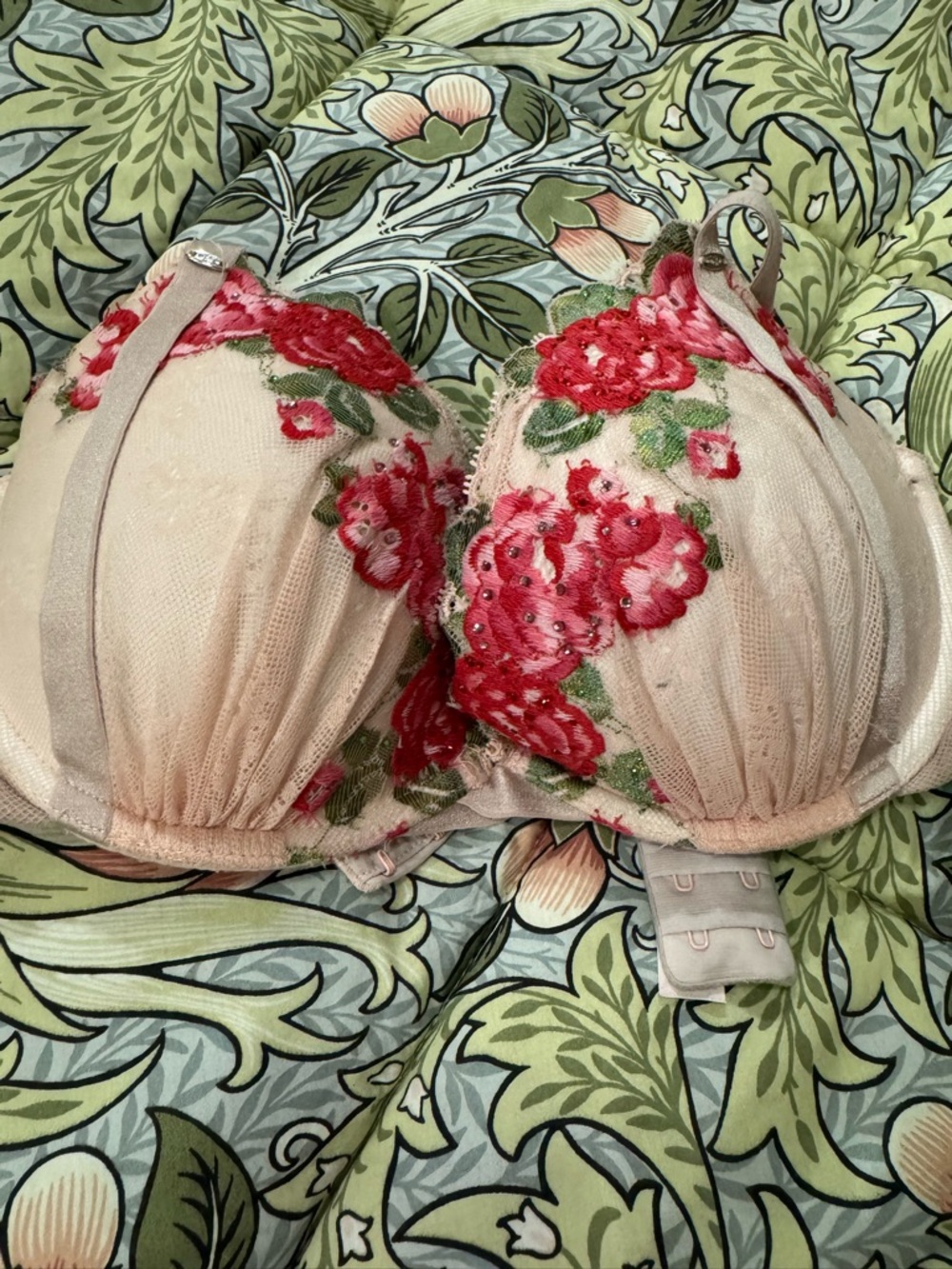 Victoria's Secret Blush Pink Bra with Red Floral Embroidery